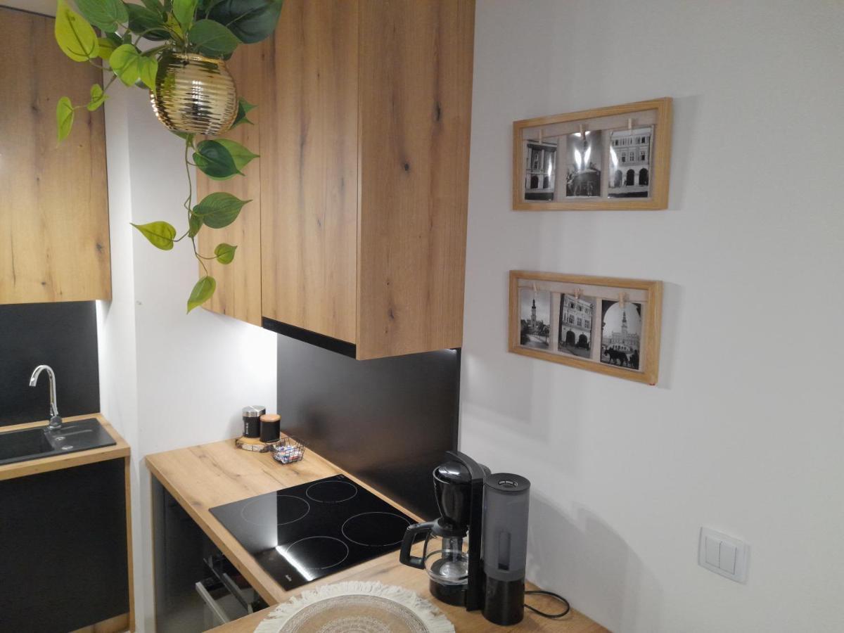 Apartament Amelia Замостя Екстер'єр фото